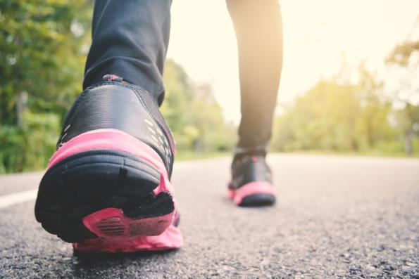 Gruppi di Cammino ATS della Montagna